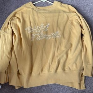 aerie oversized sweatshirt